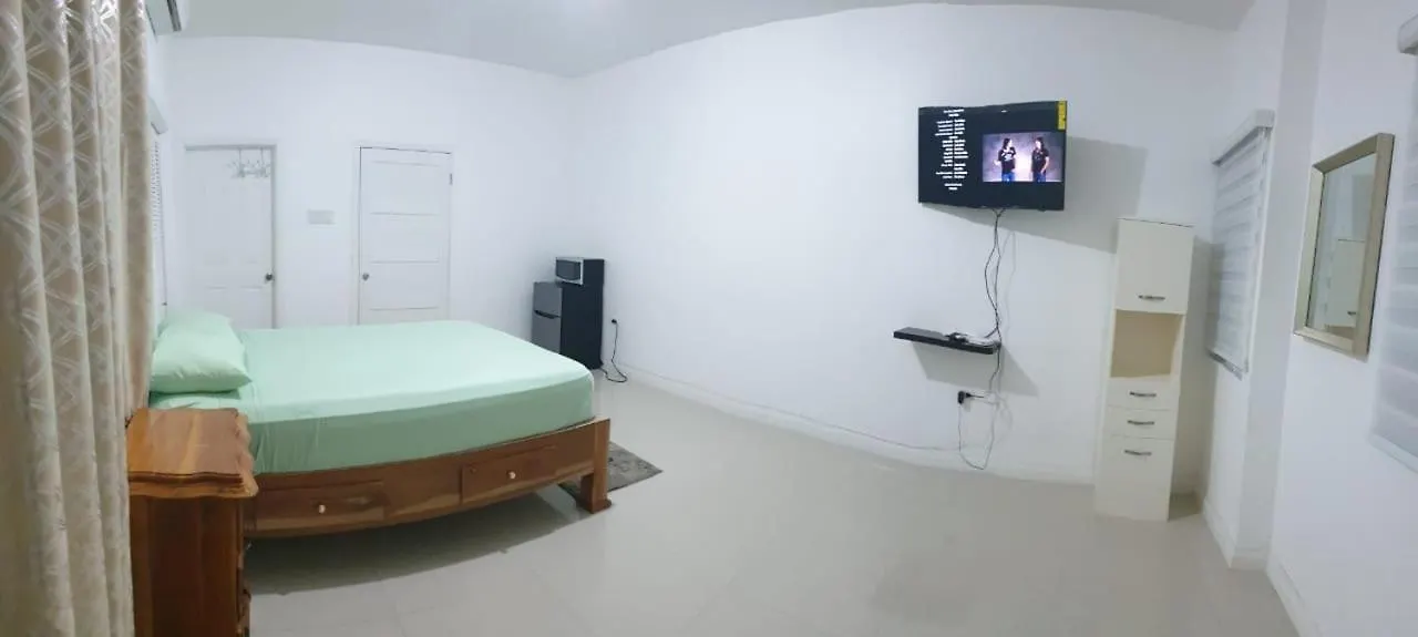 Harloe'S Apartment Kingston